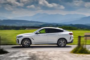 BMW X6 xDrive30d M Sport 2019 года  (WW)